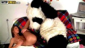 Naughty Panda Porn - Naughty Panda Porn - naughty & panda Videos - SpankBang