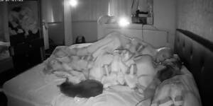 hardcore cam - Stunning Brunette Hardcore On Cam HD SEX Porn Video 11:25