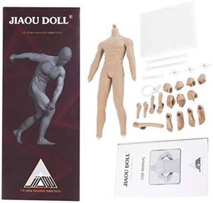 Anatomically Correct Doll Porn - Amazon.com: JIAOU DOLL 1/6 Scale Super Flexible Seamless Muscular Male  Body, 12in Stainless Steel Skeleton Action Figure, Ordinary Complexion :  Toys & Games