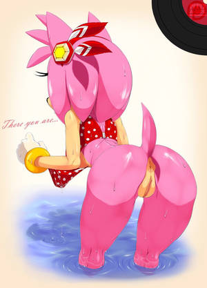 Amy Rose Bikini Porn - Vacations time! Amy RoseSonic The HedgehogVacationsStuffingHayPorn HolidaysVacationCow