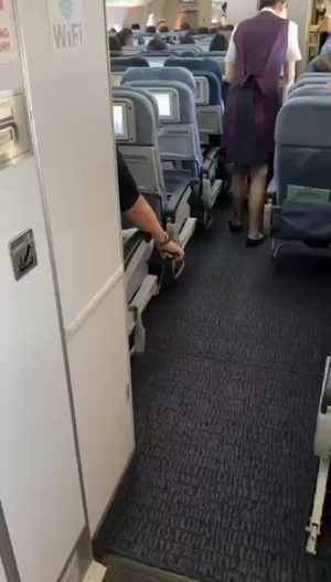 hidden camera upskirt stewardess - To be a creep on the flight and get away with it : r/therewasanattempt