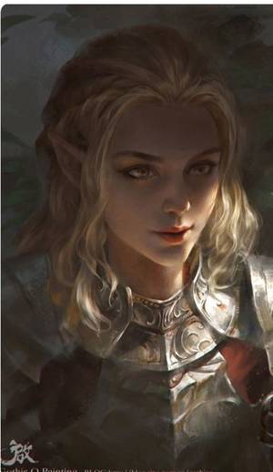 Art Blonde Female Pirate Porn - Female Elf Fighter knight or paladin inspiration for RPG characters, DandD  or Pathfinder