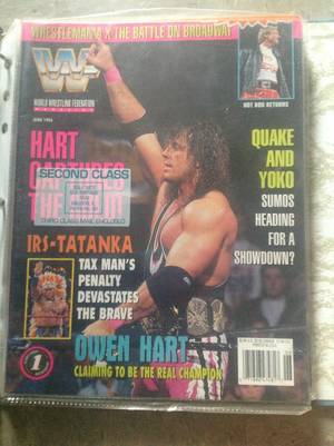 1980s Porn Magazines 72 Hhh - WWF wrestling magazine June 1994