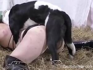 Hamster Porn.com - XHAMSTER Free Animal Porn Tube Videos. Bestiality and Zoo XXX by XHAMSTER. COM