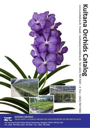 Blue Orchid 2000 Boy Porn - pdf file (1.25 Mbs) - Kultana Orchids