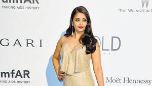 aishwarya indian actress xxx - Aishwarya Rai was '100% protected' from Harvey Weinstein, says Hollywood  executive | Hollywood - Hindustan Times