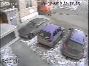 Baboon Fucks Woman - Elderly Woman Run Over By Garbage Truck