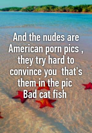 hard to convince - And the nudes are American porn pics , they try hard to convince you that's  them in the pic Bad cat fish