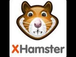 Hamster Porn Site - Porn Site xHamster Bans North Carolina Users Over State's New Anti-LGBT Law