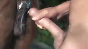 Man Fucks Mare - Man fucks mare in the tight anal hole