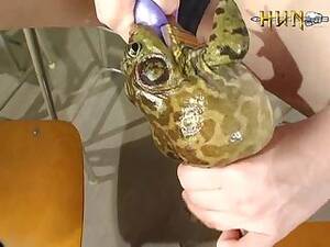 Genki Porn Frog - Genki Ggen009 the woman also cries that the frog croaks and it hurts 006 Â»  Download zoo porno videos mp4 and free online