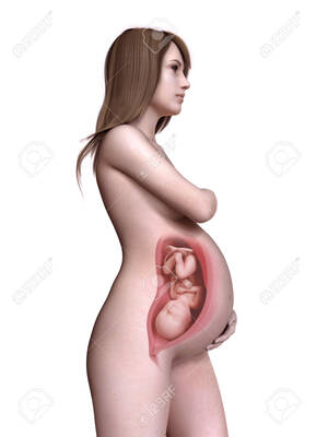 3d pregnant girls nude - 3d Rendered Medically Accurate Illustration Of A Pregnant Women Week 40  Stock Photo, Picture and Royalty Free Image. Image 108461161.