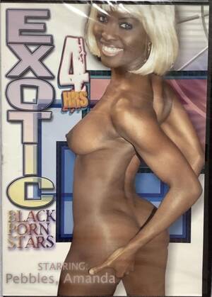 black adult erotica - Erotic Black Porn Stars 2007 Adult XXX DVD - Vintage Magazines 16