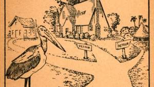 Johnny Test Sexing - On Popes, PUAs, The Pill and the Alpha A-hole Cock Carousel