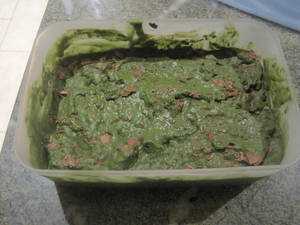 Anime Porn Uncensored 3d Toddlercon - Green ...