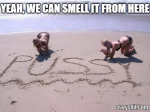 Beach Porn Memes - CrazyShit.com | beach memes - Crazy Shit