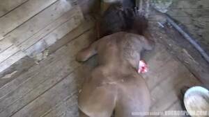 Demon Blowjob - Horror Porn demonic and dirty brunette gives a blowjob in POV