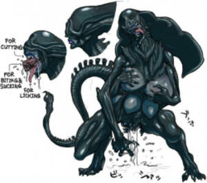Alien Vs. Predator Porn Comics - Parody: alien vs predator - Hentai Manga, Doujinshi & Porn Comics