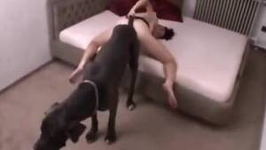 k9 porn 40s - Serious dog porno for a thin teen with nice ass