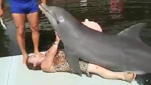 Fucking Dolphin Porn - dolphin XXX Movies