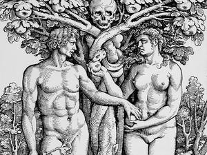 Christian Sex Positions For Couples - What marriage would look like if we actually followed the Bible | The  Independent