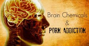 And - Brain Chemicals and Porn Addiction