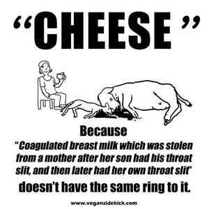 Caption Milk Theft - Do you still eat cheese? When you consume pain and suffering, you will live  it.most likely contracting cancer fed by your animal consumption habits.