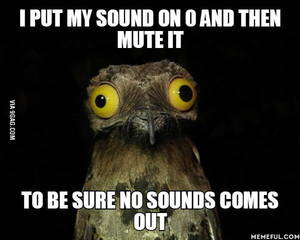 Bird Watching Porn - Especially while watching porn.