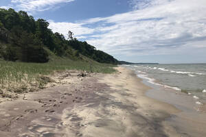 bottomless public beach - Saugatuck-Douglas is open and better than ever