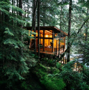 Cabin - Cabin Porn - Mystery Made