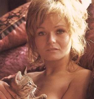 Dawg Pound Porn Star Knockout - Valerie Perrine gave 2 knockout performances in the 1970's - as porn actress  Montana Wildhack in