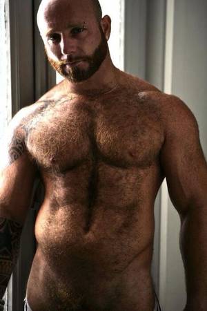 hairy daddy - hairy daddy - Pin your Gay Porn! A Million Pics on MillionDicks - Pin all  your favorite Gay Porn Pics on MillionDicks