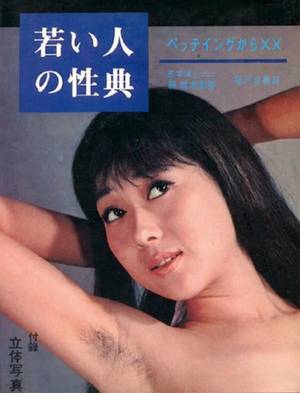 1960s Vintage Japanese Porn - It's hard to tell whether the Japanese have a more enlightened view of  human sexuality or if they're just so crass that standard sexual  intercourse is ...