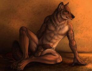Male Anthro Wolf Porn - Male Anthro Wolf Porn | Sex Pictures Pass