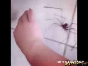 Biting Dick Porn - Big Scary Spider