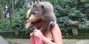 Monkey Fucks Woman - LOL - Monkey Tit Sharks Woman!! - Tnaflix.com