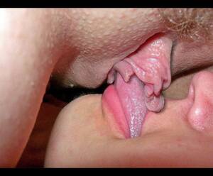 big clit lesbian oral - Lesbians Licking Big Clit - 64 photos