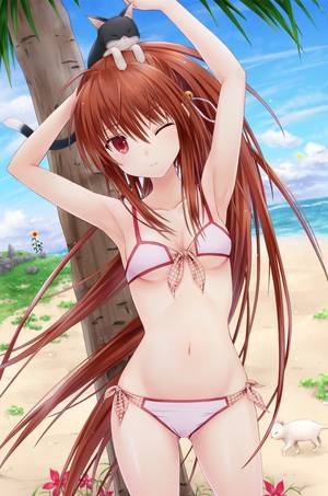 Girls Small Tits Anime - armpits arms up beach bell bikini breasts brown hair cat clouds collarbone  flower front-tie top highres little busters! long hair looking at viewer  n.g. ...