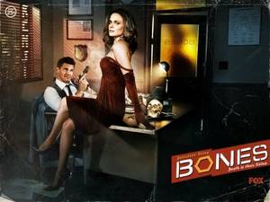 Bones Tv Porn - Bones, fav TV prog ever