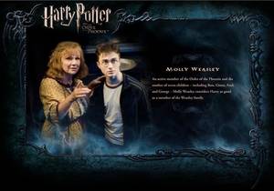 Molly Weasley Harry Potter Porn - harry potter fondo de pantalla with a sign and anime entitled OOTP  Character descripciÃ³n - Mrs