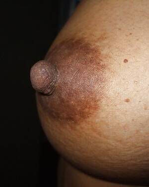 naked hairy malaysian girl - Hairy Malaysian Girl Porn Pictures, XXX Photos, Sex Images #1688067 - PICTOA