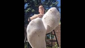 feet anal captions - Anal, Barefoot, BBC, Feet Hotwife Caption â„–6392: BBC bull gets her anal  virginity while cuck gets her toes only