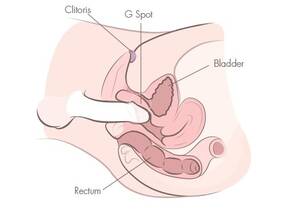 g spot guide - How To Find Your G Spot Easily & Quickly