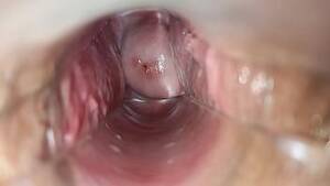 Micro Vagina Porn - Head Inside Vagina Porn Videos | LetMeJerk