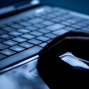 Just Toddler Porn Chan - FBI ran website sharing thousands of child porn images