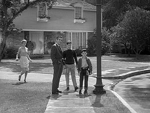 June Cleaver Eddie Porn - Leave It To Beaver