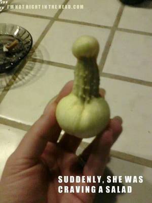 Funny Porn Food - Humour funny lol laugh hahaha. Adult HumourFood PornTreats