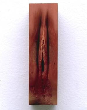 Barbara Eden Pussy - The Visible Vagina - - Exhibitions - David Nolan Gallery