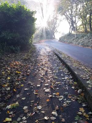 Earth Mother Porn - [OC] [1536x2048] #mother # Â· Mother EarthPorn