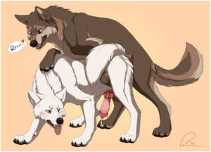 Anal Wolf Porn - Rule 34 - 2016 all fours anal anal sex animal genitalia canine doggy style  duo erection feral from behind position fur heart male mammal nude  penetration penis precum santanni sex simple background